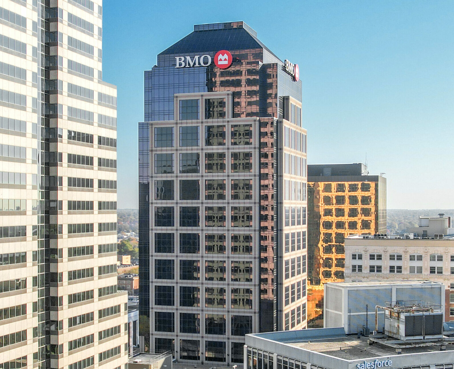 REO Case Study Enterprise Home Page